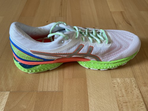 asics nimbus 46.5