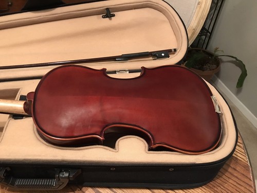 Rothenberg Violin AWESOME LOOK!!!