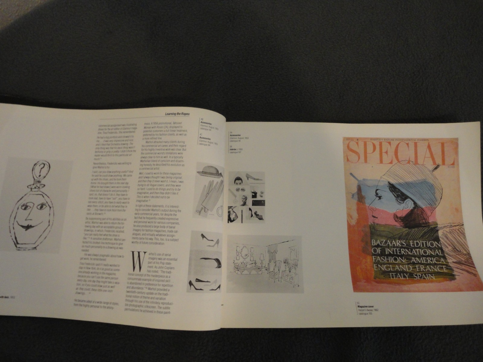ANDY WARHOL Early Art and Business Grey Art Gallery, Success is a Job in NYC