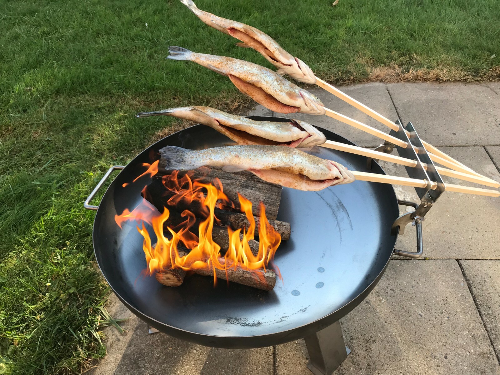 sehr stabiler MULTI HALTER LEO 9mm Steckerlfisch Flammlachs Feuerschale Grill 