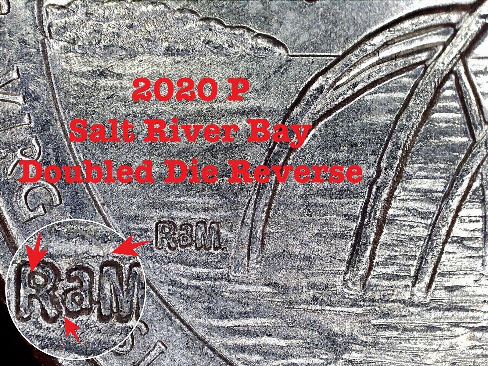 2020 P Salt River Bay Error Quarter - DDR Doubled Die 2020 P Salt River Bay Error Quarter - DDR Doubled Die