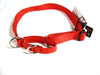 Martingale Training Dog Collar Lupine Pet 1'' Basic Solid Red Combo L 19'' to 27''