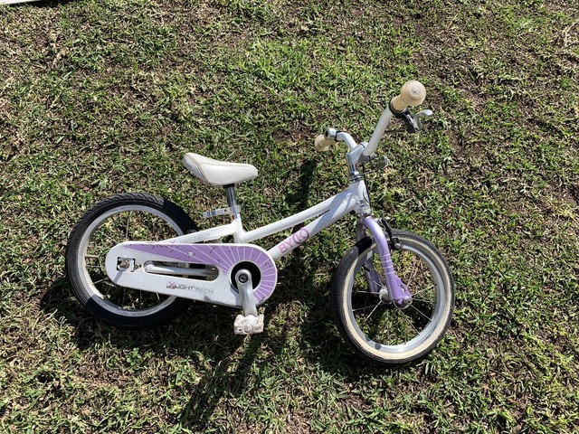 byk 250