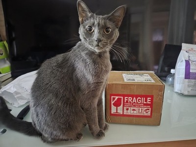 Item photo(s) from verified buyer