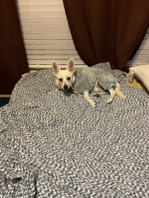 Foto dell'oggetto di un acquirente verificato