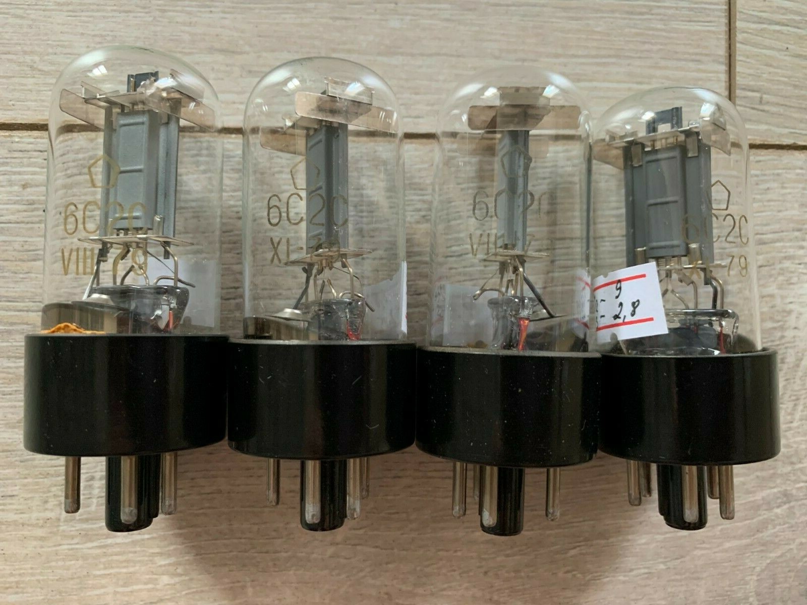 中古品】TUBE/TUBE LIVE AROUND SPECIAL 2024 TOYOTA LAND