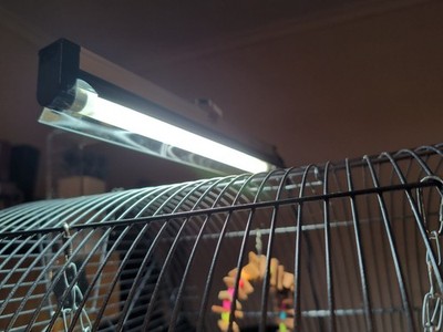 Objectfoto('s) van geverifieerde koper