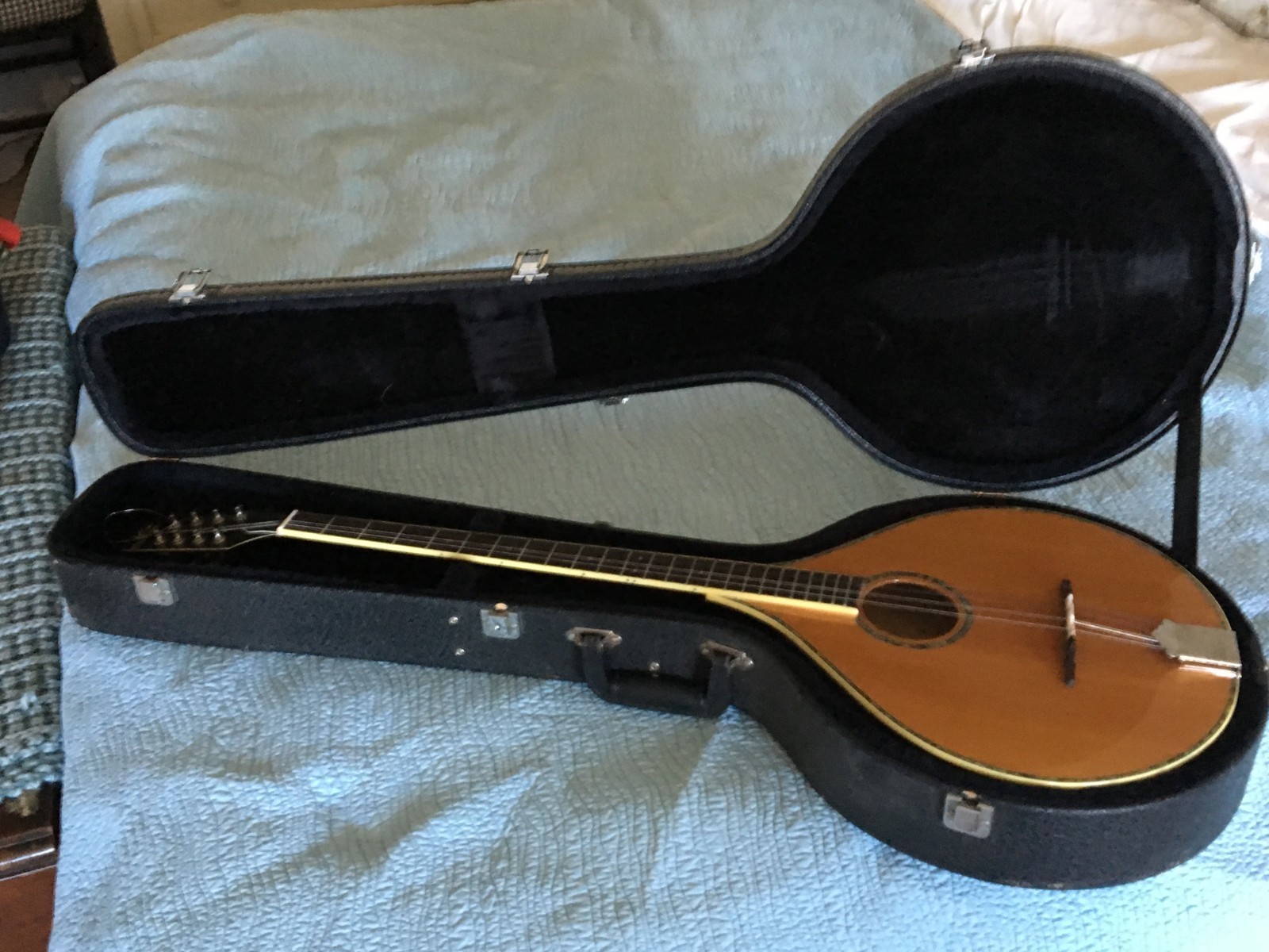 Morgan Monroe Bouzouki M-Ouki Octave Mandolin Natural