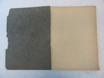 Lot of 2 BOOK OF VALUATIONS OF THE CENTRAL BUSINESS DISTRICT OF CHICAGO 1919-22