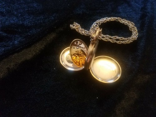 1902 Waltham Pocket Watch ~ Full Hunter Case ~ Grade Seaside