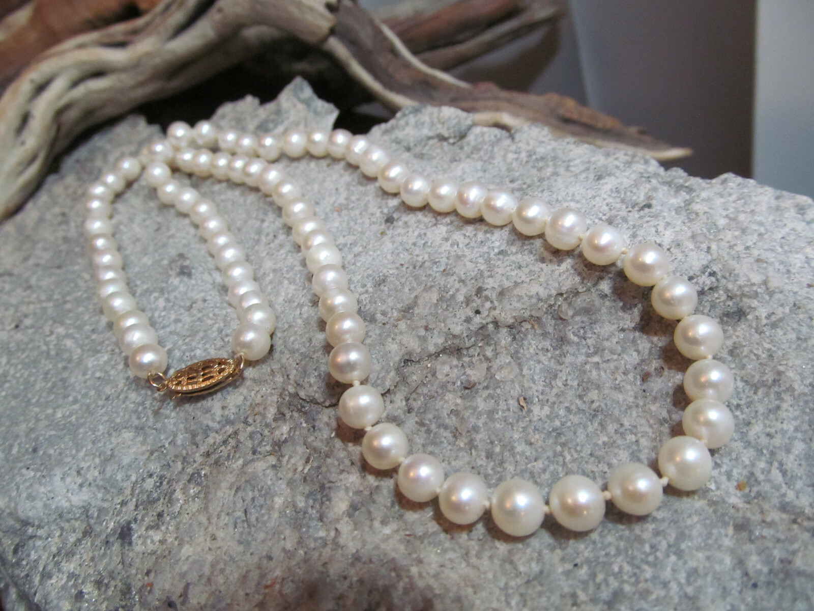 $_57.JPG?set_id=8800005007