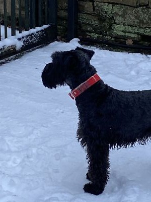 Artikelfoto(s) von einem verifizierten Käufer