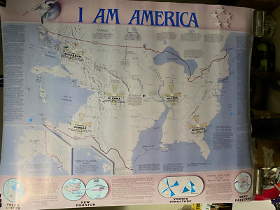 Freedom Star ''I Am America'' Lori Toye poster 22X28