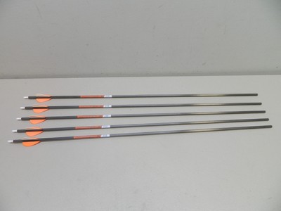 Victory RIP XV Elite Carbon 300 Raw Shaft w//.204 Shock Insert 1 Dozen