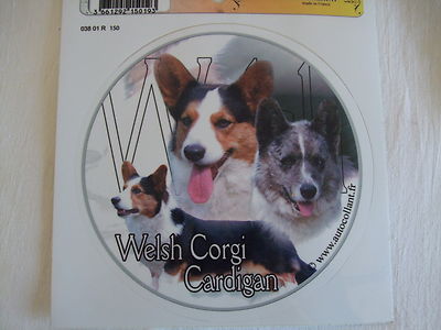1 autocollant - motif   chien  WELSH CORGI CARDIGAN