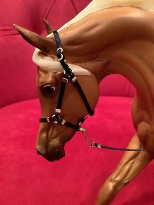 Fotos del artículo de un comprador verificado