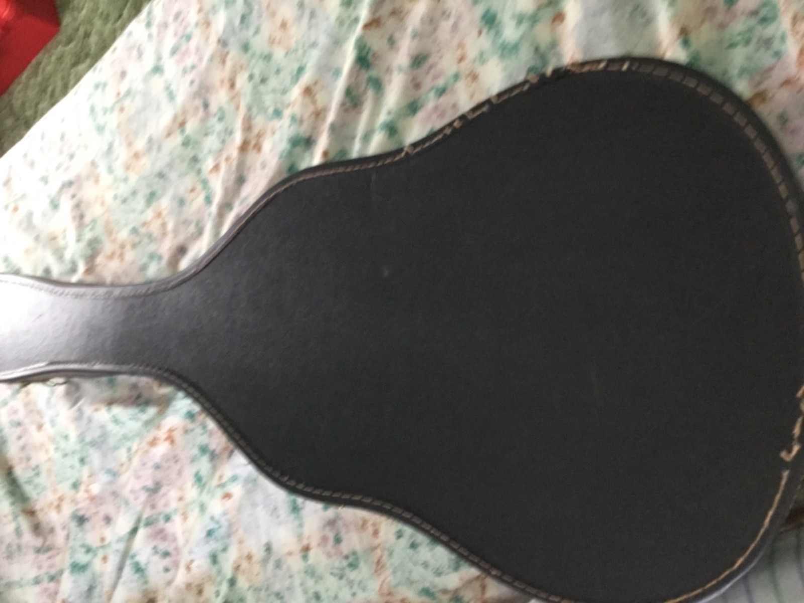 Bicentennial guitar