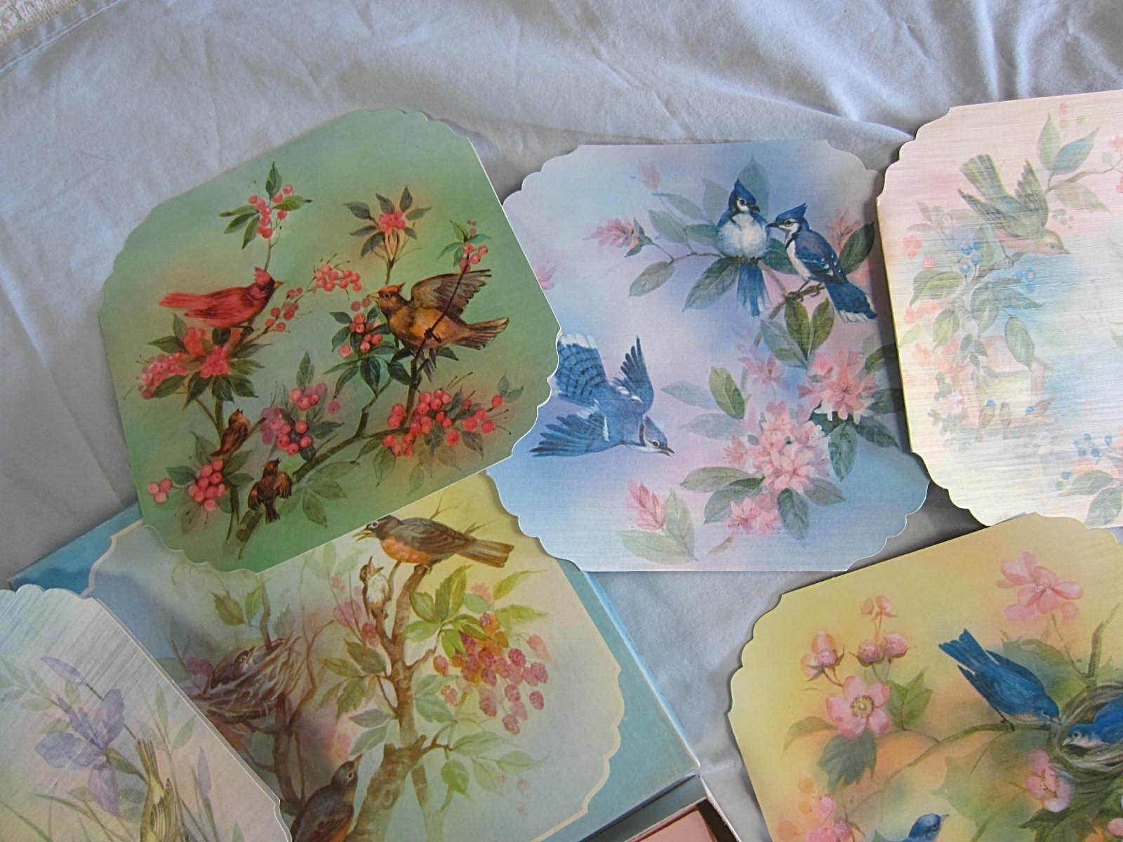 VTG~10 CARDS & ENVELOPES~BIRDS~GET WELL & ASSORTMENT~ORIGINAL BOX~QUALITY CREST