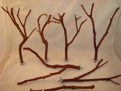 Manzanita Bird Perches Set of SEVEN with hardware  Multibranch   Fine Set