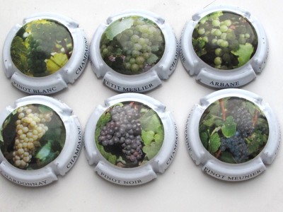 Série de 6. capsules de CHAMPAGNE générique Cépages n° 847