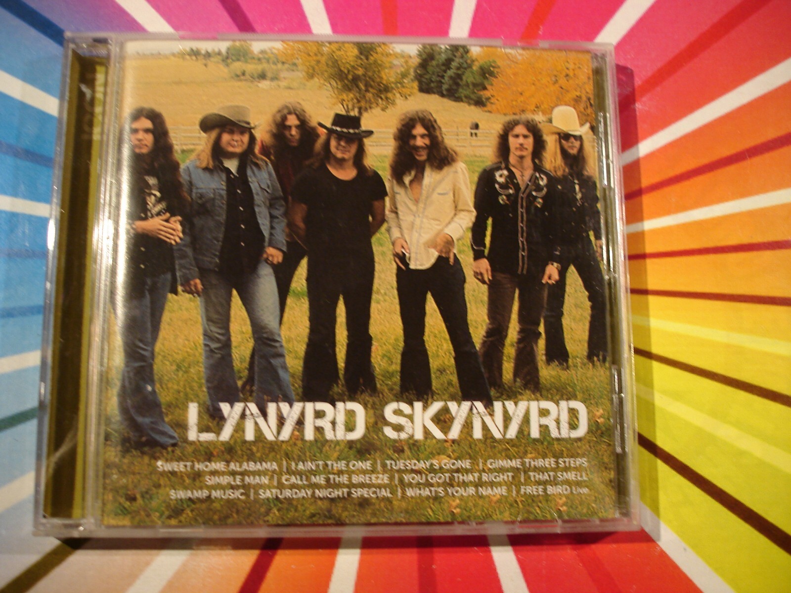 米2LP Lynyrd Skynyrd Icon B003269101 Geffen Records /00520