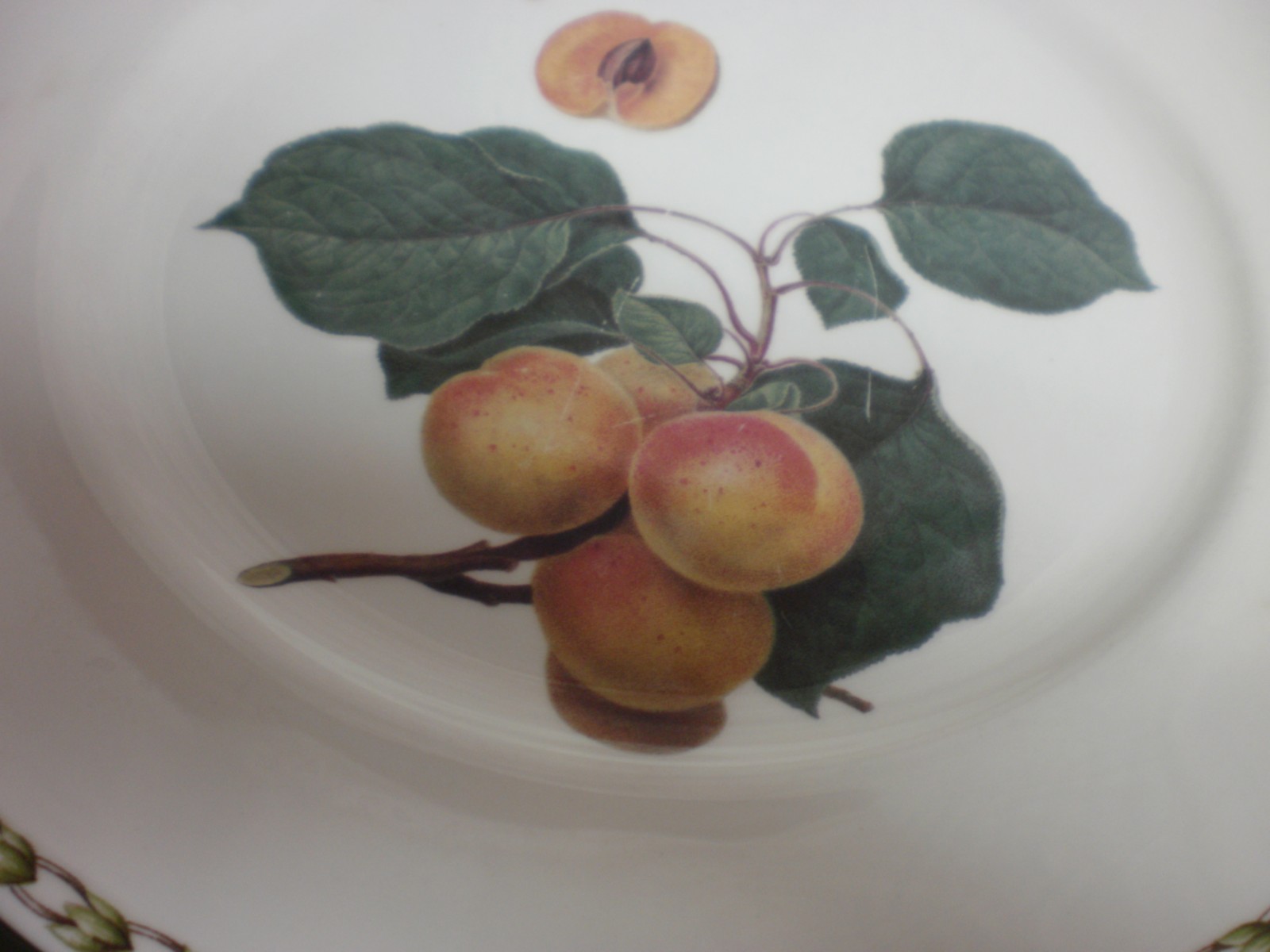 Rosina Queens HOOKER'S FRUIT (BONE CHINA MADE INDIA  ) Apricot Dinner Plate