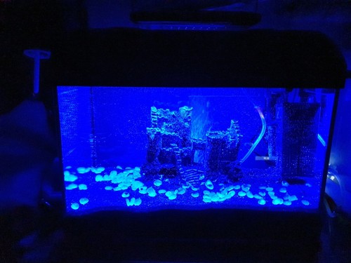 Artikelfoto(s) von einem verifizierten Käufer