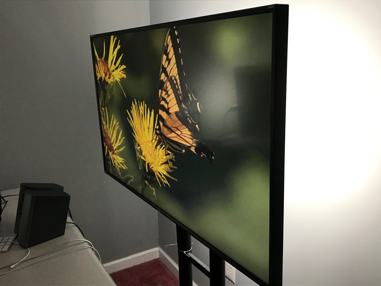 Flanders Scientific AM420