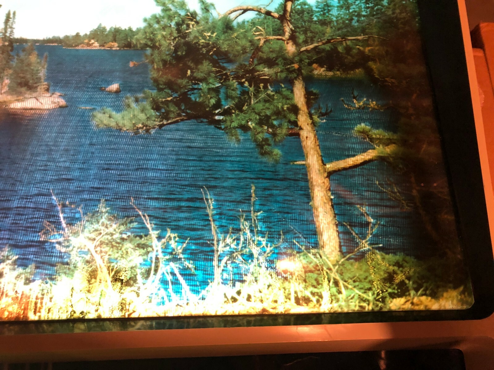 VTG HAMMS BEER SIGN WATER RIPPLER CANOE N LAKE MOTION LIGHT UP Works! BAR PUB