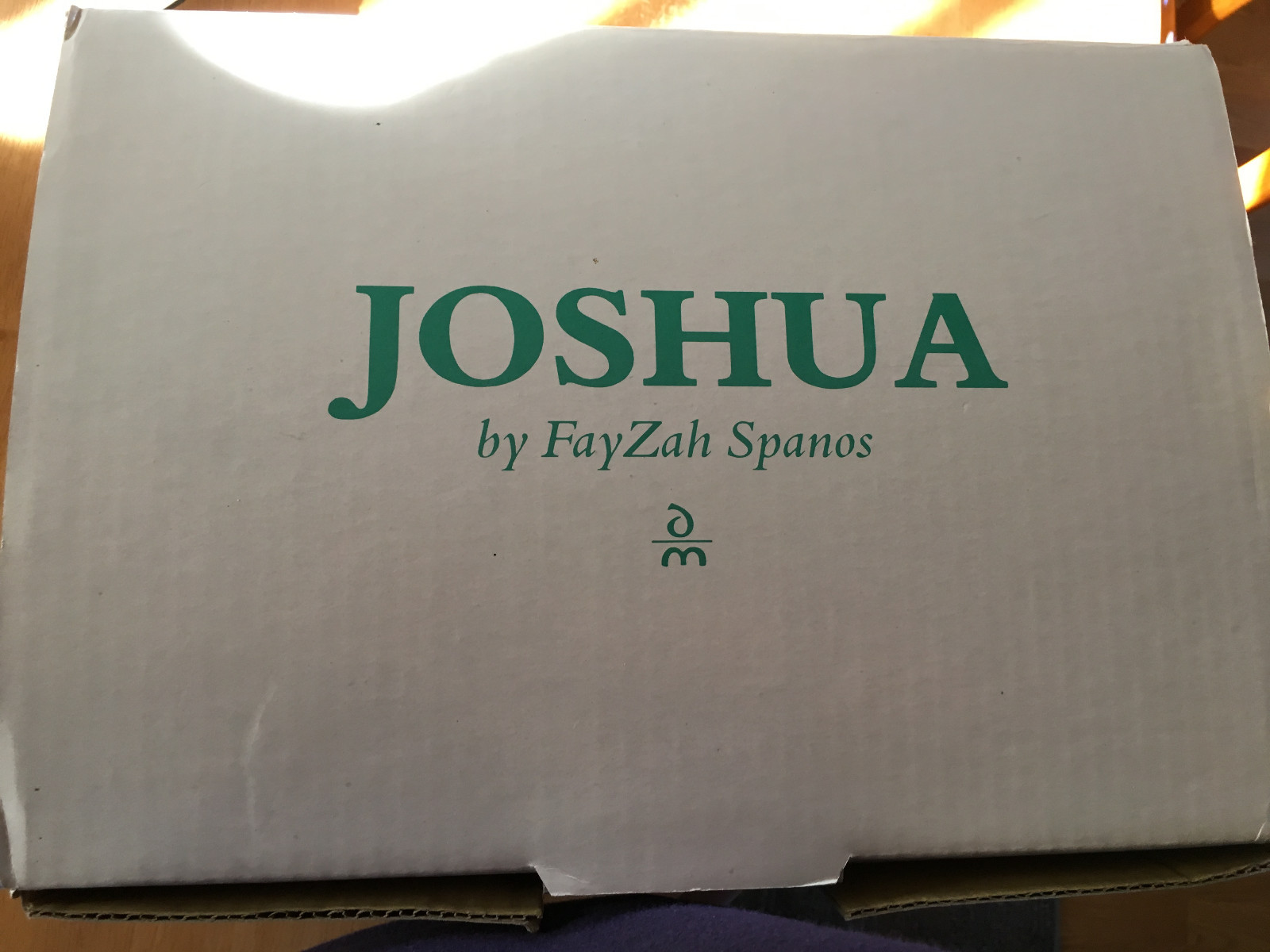 DANBURY MINT AMISH DOLL 