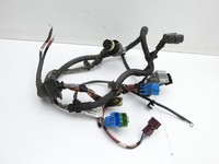 BMW X1 E84 X18D 09-12 2,0d 105KW Kabelbaum Motorkabelbaum Leitungssatz Motor Kabelstrang BMW X1 E84 X18D 09-12... Vorschau 5