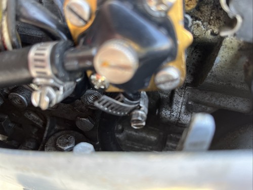 Fotos del artículo de un comprador verificado