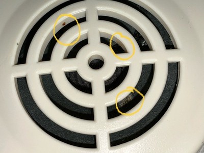 Fotos del artículo de un comprador verificado