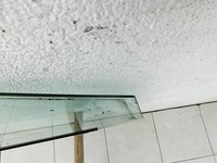 Renault Megane III 12-16 Kombi RVK Seitenscheibe für Tür Türscheibe Rechts Vorne Renault Megane III 12-16... Vorschau 2