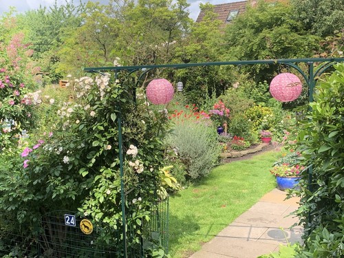 Artikelfoto(s) von einem verifizierten Käufer