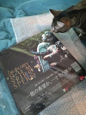 『新品』DIR EN GREY DUM SPIRO SPERO アクスタ セット s-l400.jpg