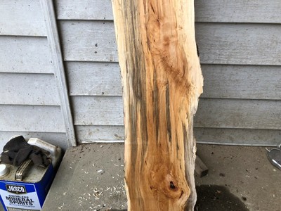Spalted  Natural edge maple slab