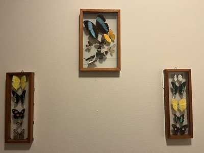 Foto dell'oggetto di un acquirente verificato