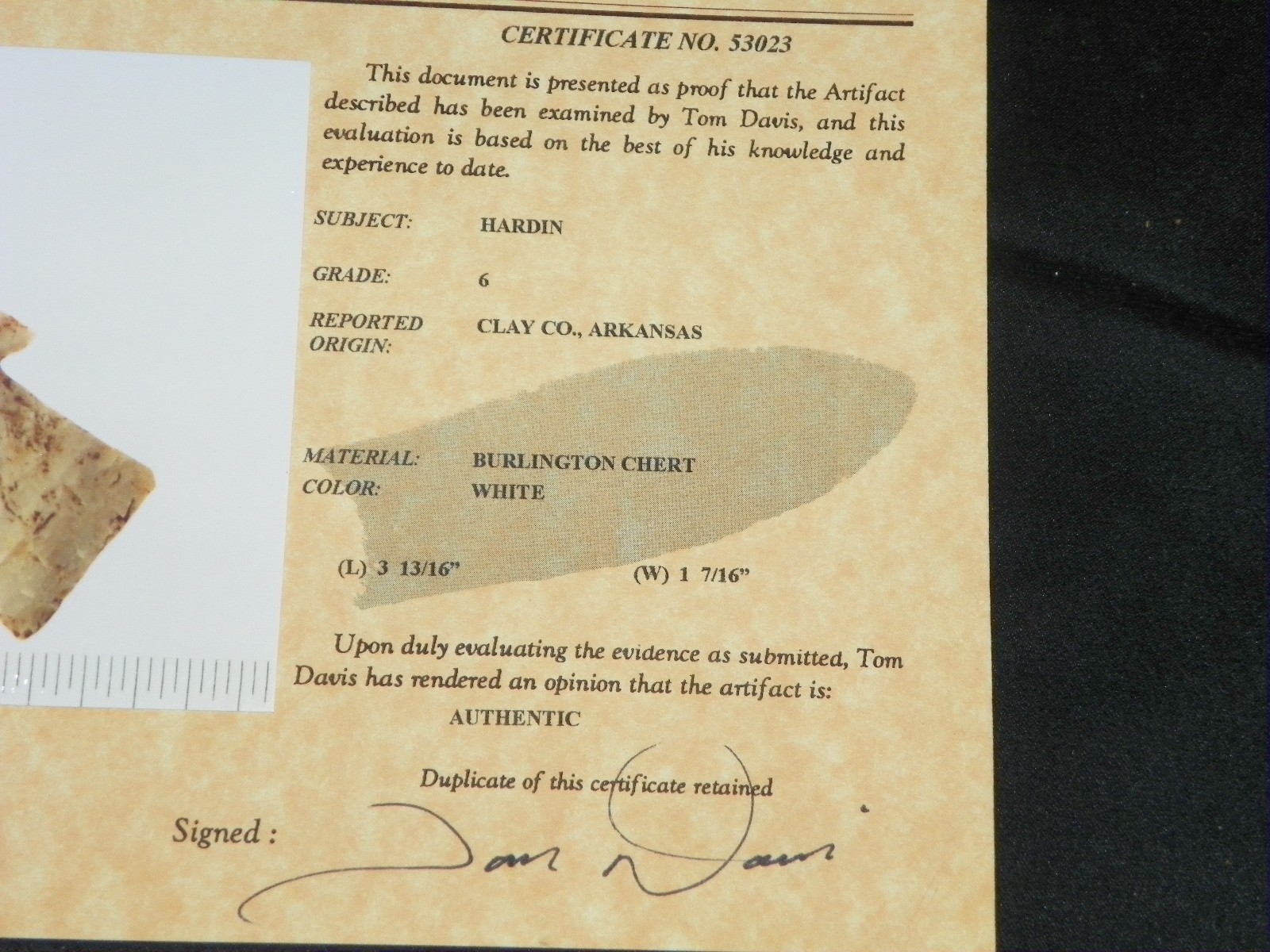 Hardin Arrowhead Point Native American Indian Artifact Tom Davis COA