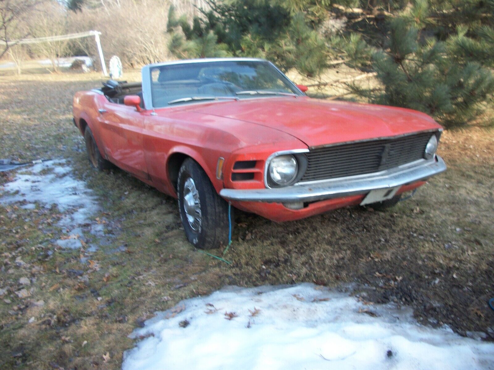 Owner 1970 ford mustang convertible