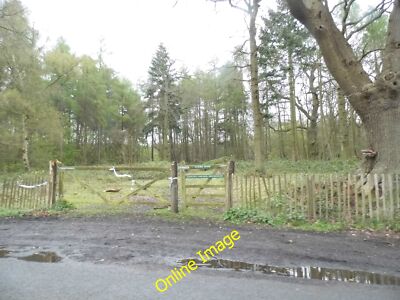Photo 12x8 Entrance to the woods on Elstead Road Seale  c2014