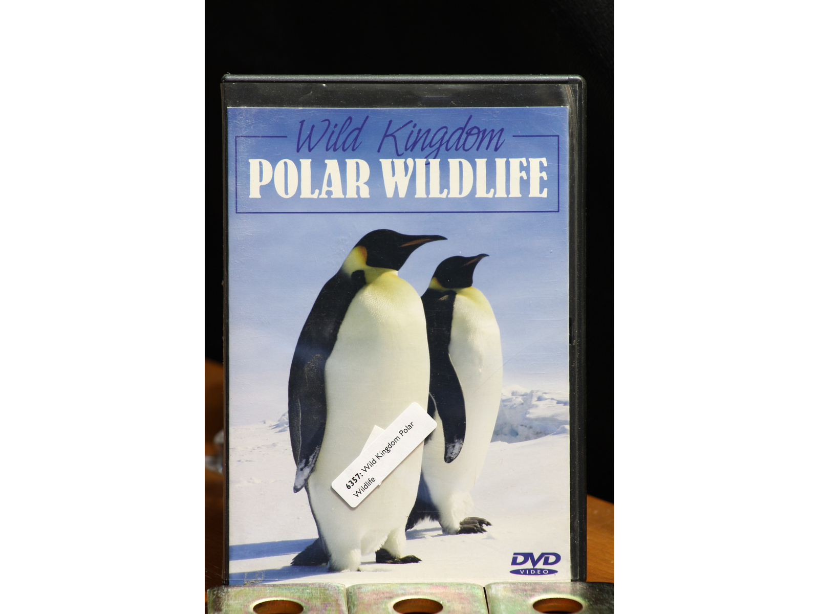 (未使用･未開封品)Wildlife on the Prowl [DVD] Amazon.com: Really Wild Animals: Polar Prowl (National