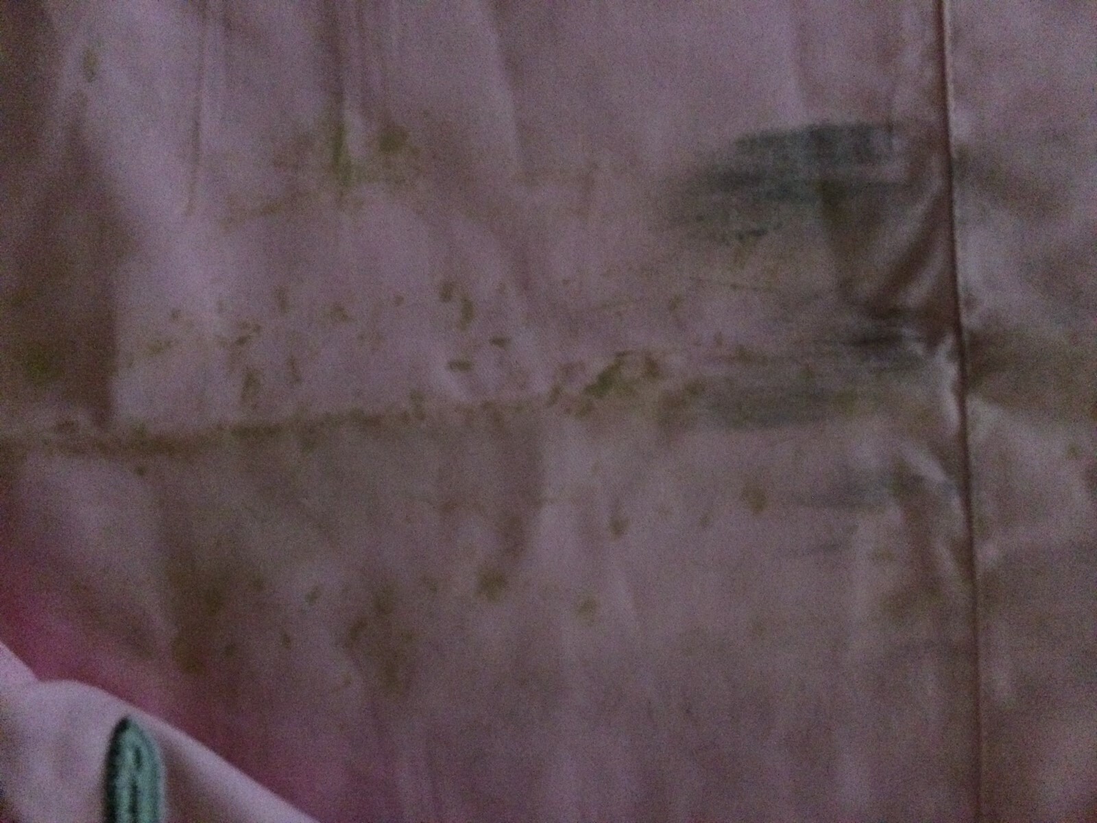 Saddle cloth ; race worn by Unique Bella-2nd place- 2 time Eclipse Award Winner