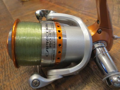 daiwa capricorn