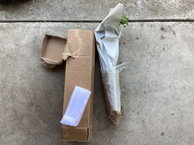 Artikelfoto(s) von einem verifizierten Käufer