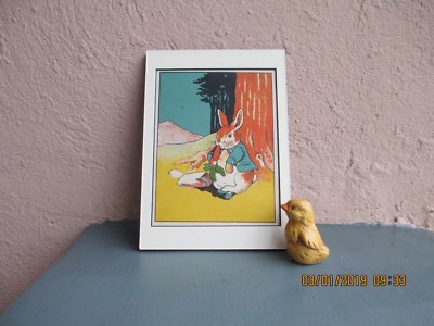 antique illustration of Peter Rabbit by Virginia Albert 1908