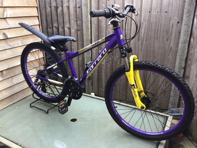 carrera luna purple and yellow