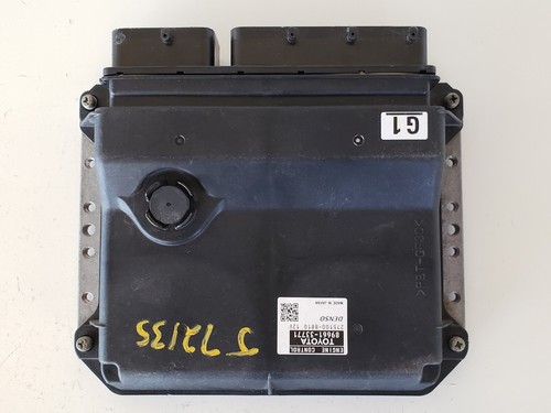 ホーリー s-l1200.jpg