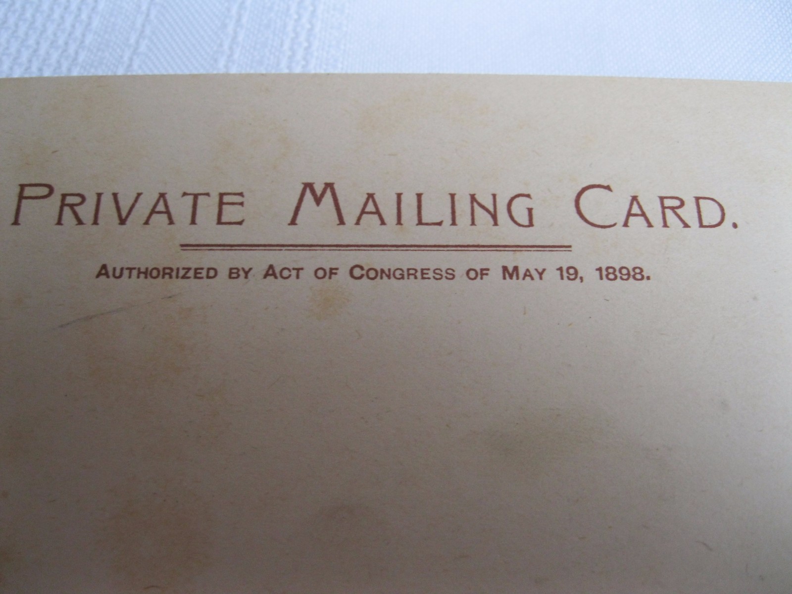 Leyland Line Cruise Ship Postcard Early 20th Century