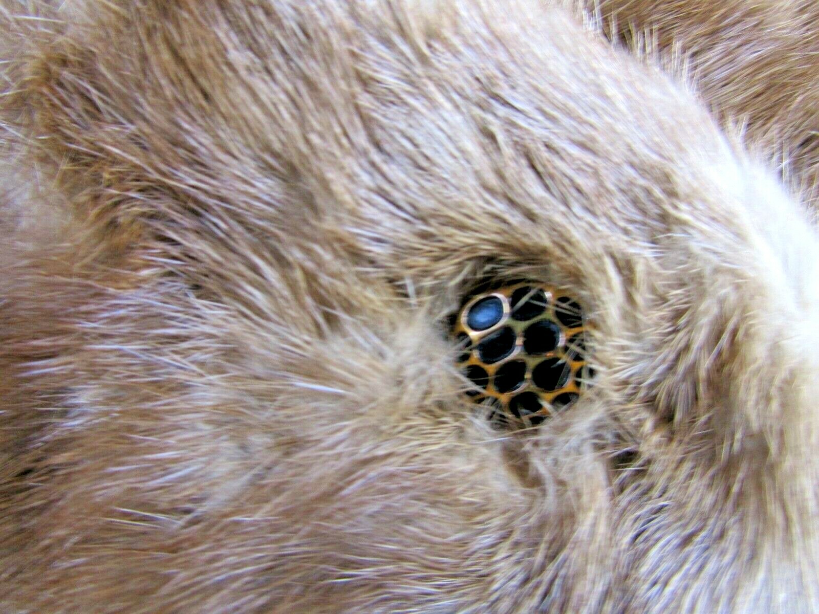 Vintage Homemade fur stole neck collar button closure brown fabric backing EUC